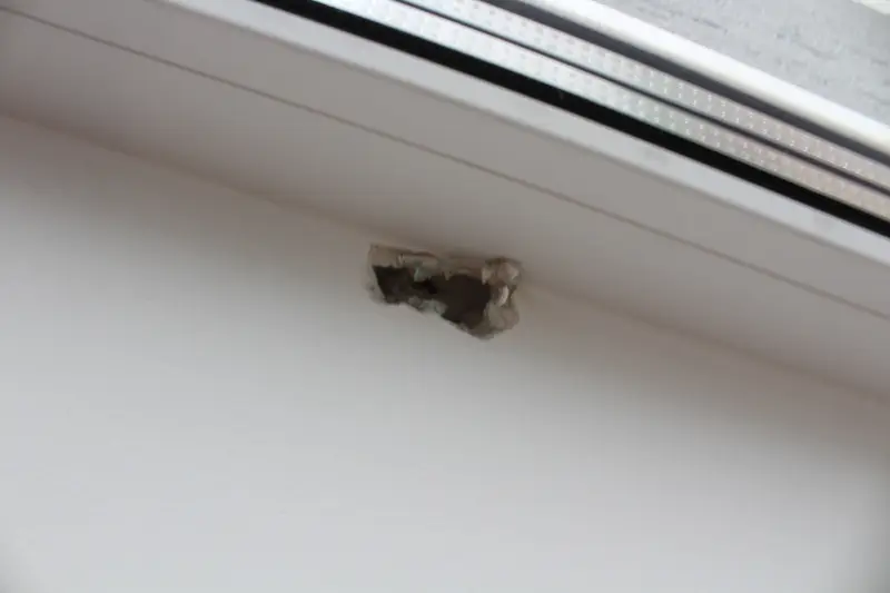 Судебная экспертиза по спору о качестве квартиры: соответствие ДДУ и нарушения строительных норм