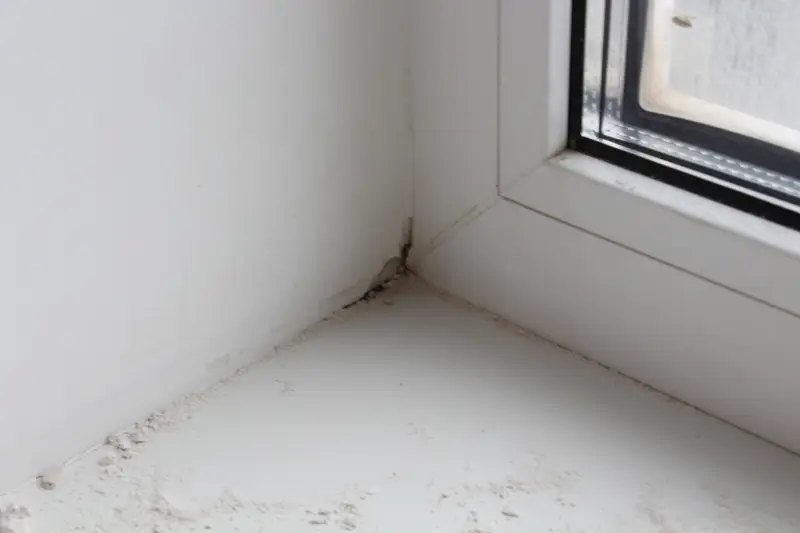 Судебная экспертиза по спору о качестве квартиры: соответствие ДДУ и нарушения строительных норм