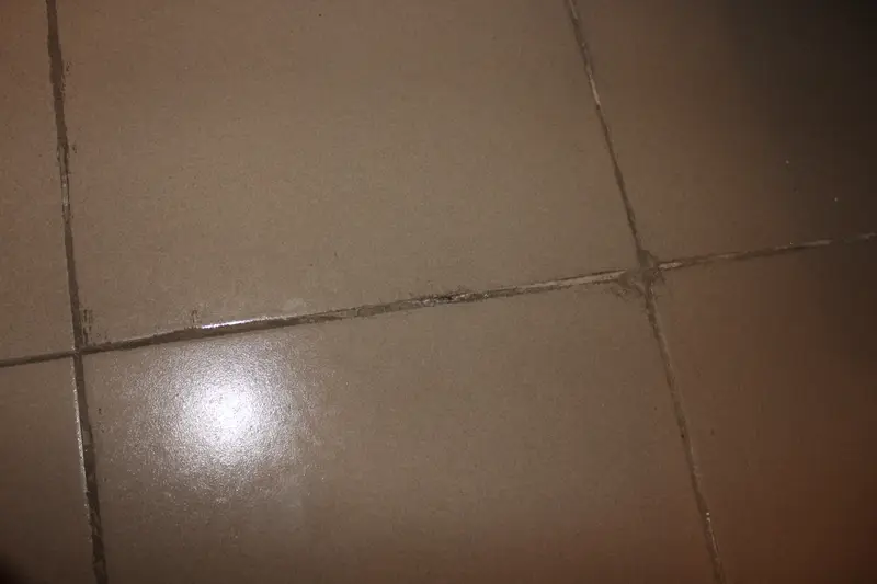 Заключение эксперта по судебной строительно-технической экспертизе по гражданскому делу