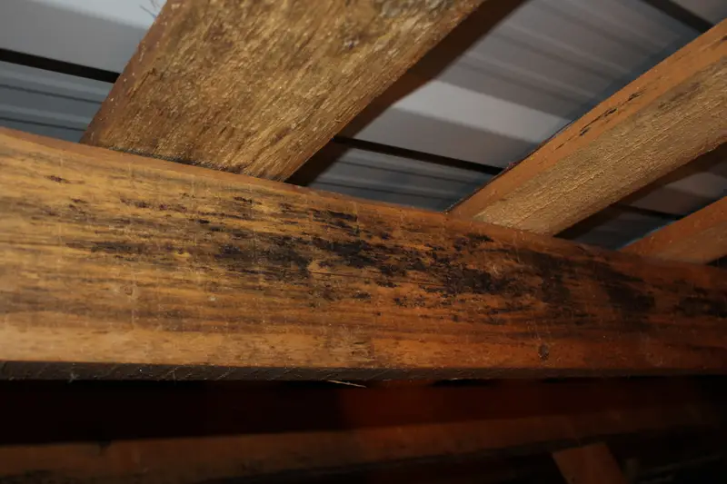 Кейс судебной строительно-технической экспертизы: недостатки жилого дома после купли-продажи