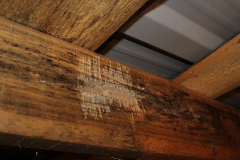 Кейс судебной строительно-технической экспертизы: недостатки жилого дома после купли-продажи