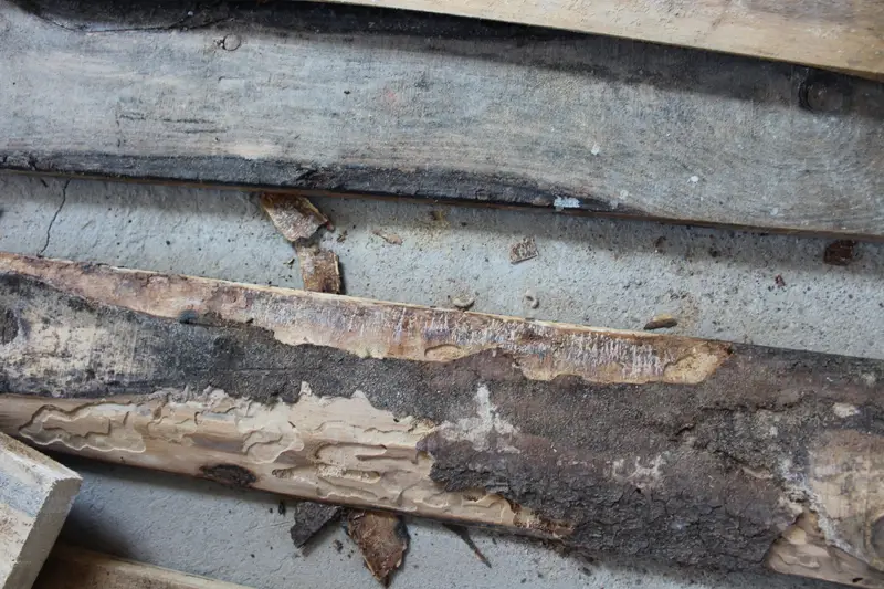 Кейс судебной строительно-технической экспертизы: недостатки жилого дома после купли-продажи