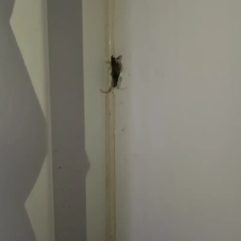 Кейс судебной строительно-технической экспертизы по делу о защите прав потребителей