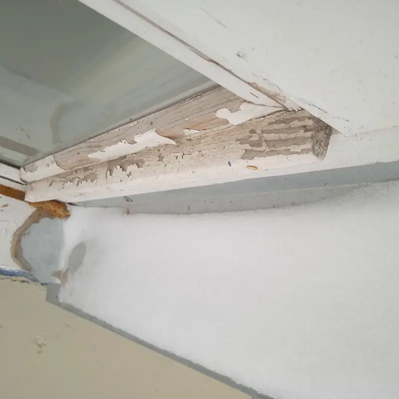 Кейс: некачественное строительство квартиры и выявленные теплотехнические нарушения