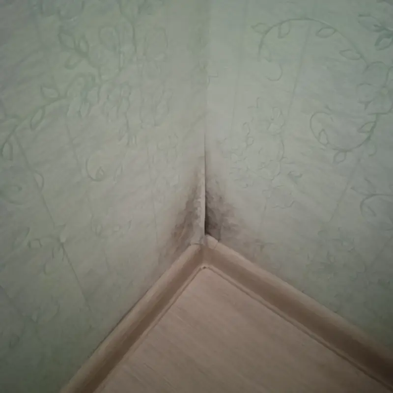 Кейс строительно-технической экспертизы: дефекты отделочных работ и расчет стоимости их устранения