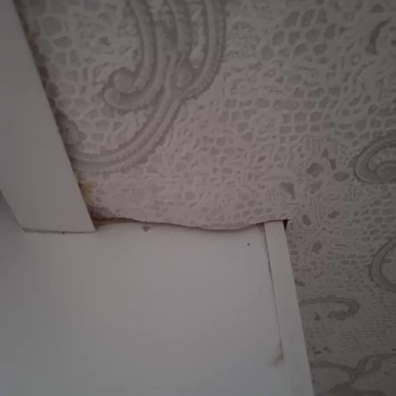 Кейс строительно-технической экспертизы: дефекты отделочных работ и расчет стоимости их устранения