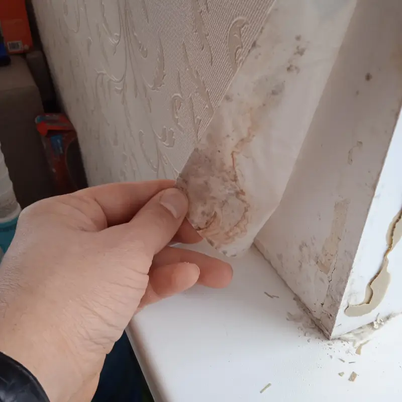 Кейс строительно-технической экспертизы: дефекты отделочных работ и расчет стоимости их устранения