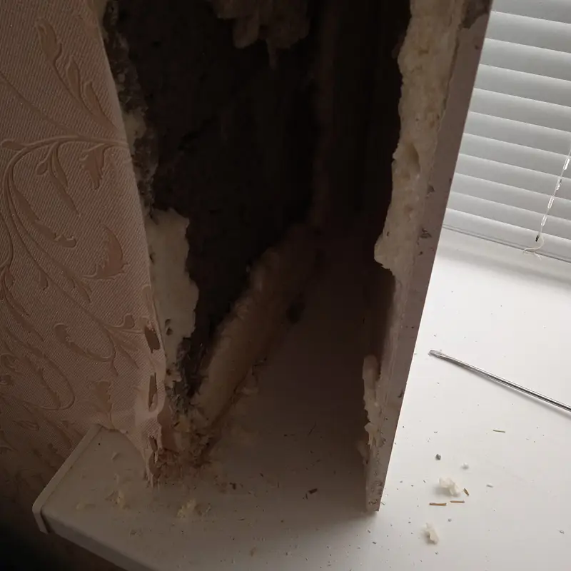 Кейс строительно-технической экспертизы: дефекты отделочных работ и расчет стоимости их устранения