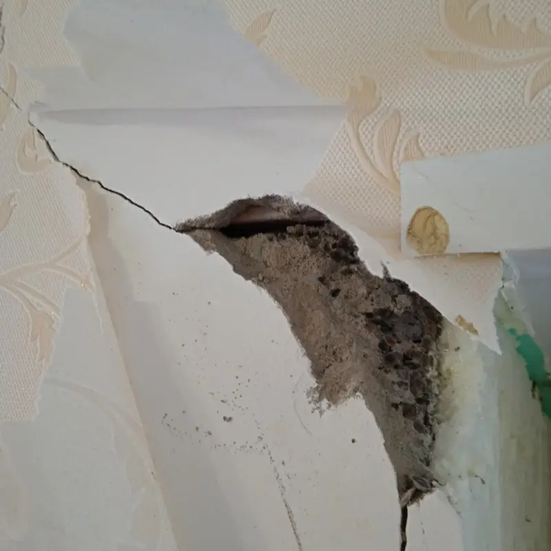 Кейс строительно-технической экспертизы: дефекты отделочных работ и расчет стоимости их устранения