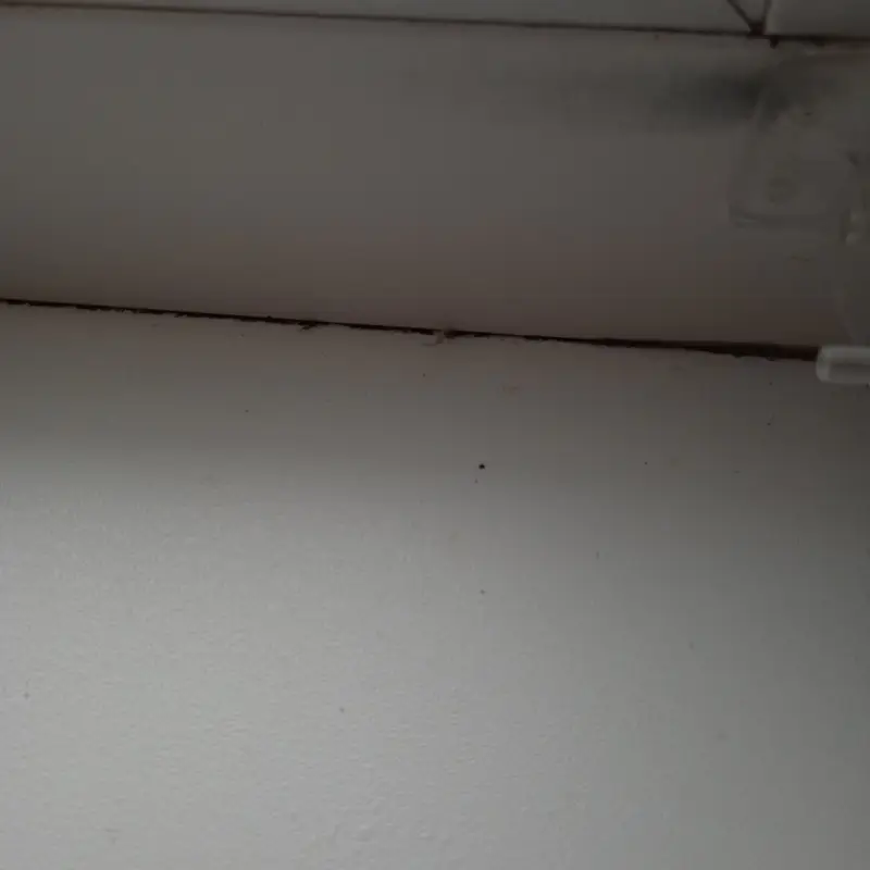 Кейс строительно-технической экспертизы: дефекты отделочных работ и расчет стоимости их устранения