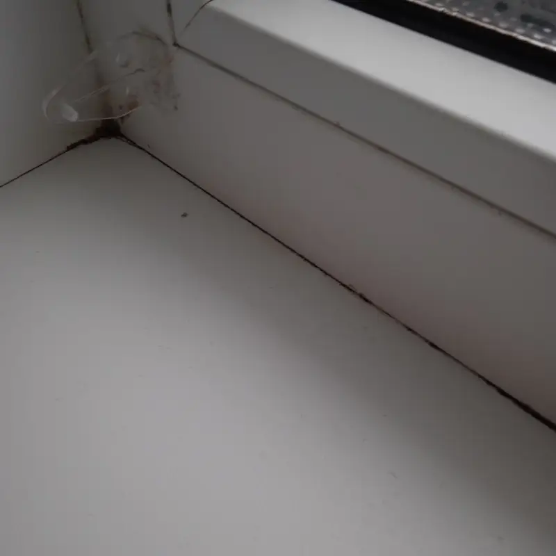 Кейс строительно-технической экспертизы: дефекты отделочных работ и расчет стоимости их устранения