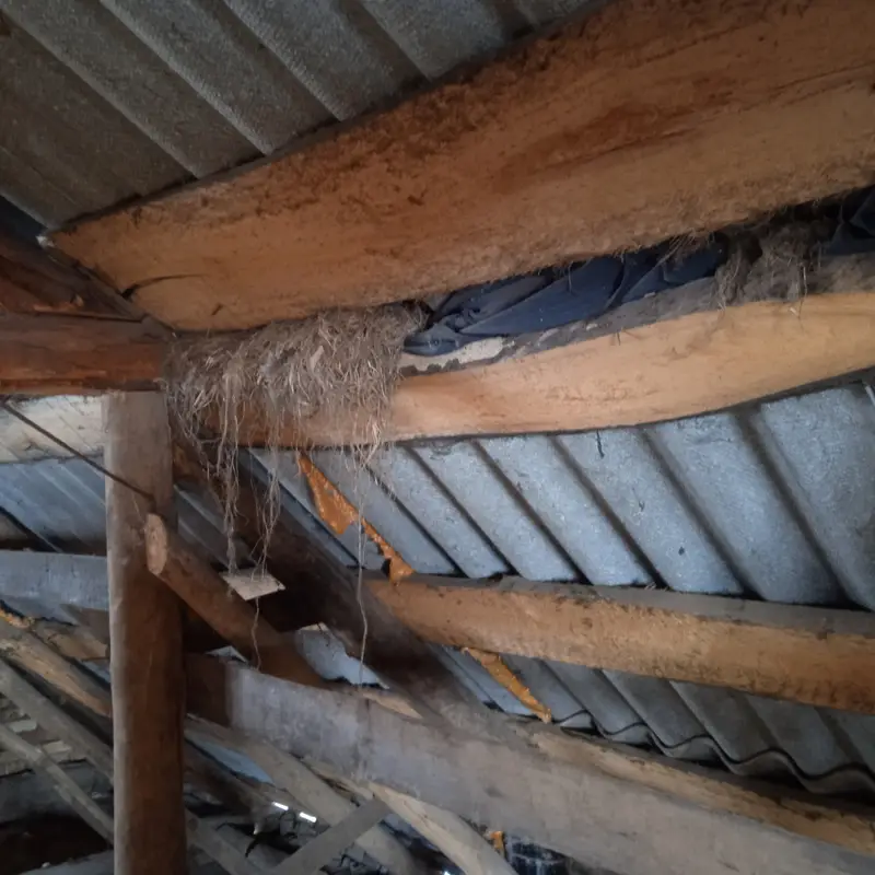 Кейс: строительные дефекты жилого дома вследствие усадки фундамента и нарушений при строительстве