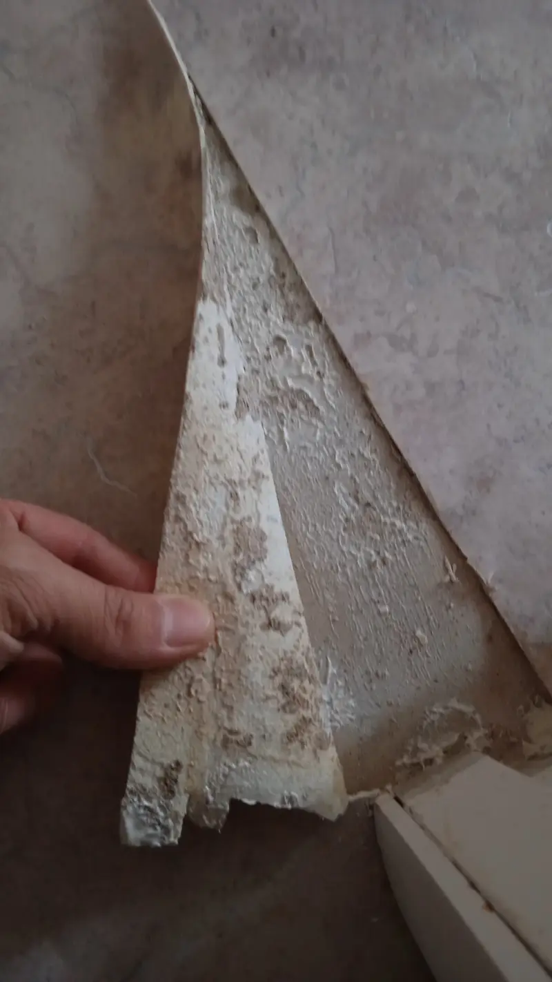 Кейс строительно-технической экспертизы: защита прав потребителя в жилищном строительстве