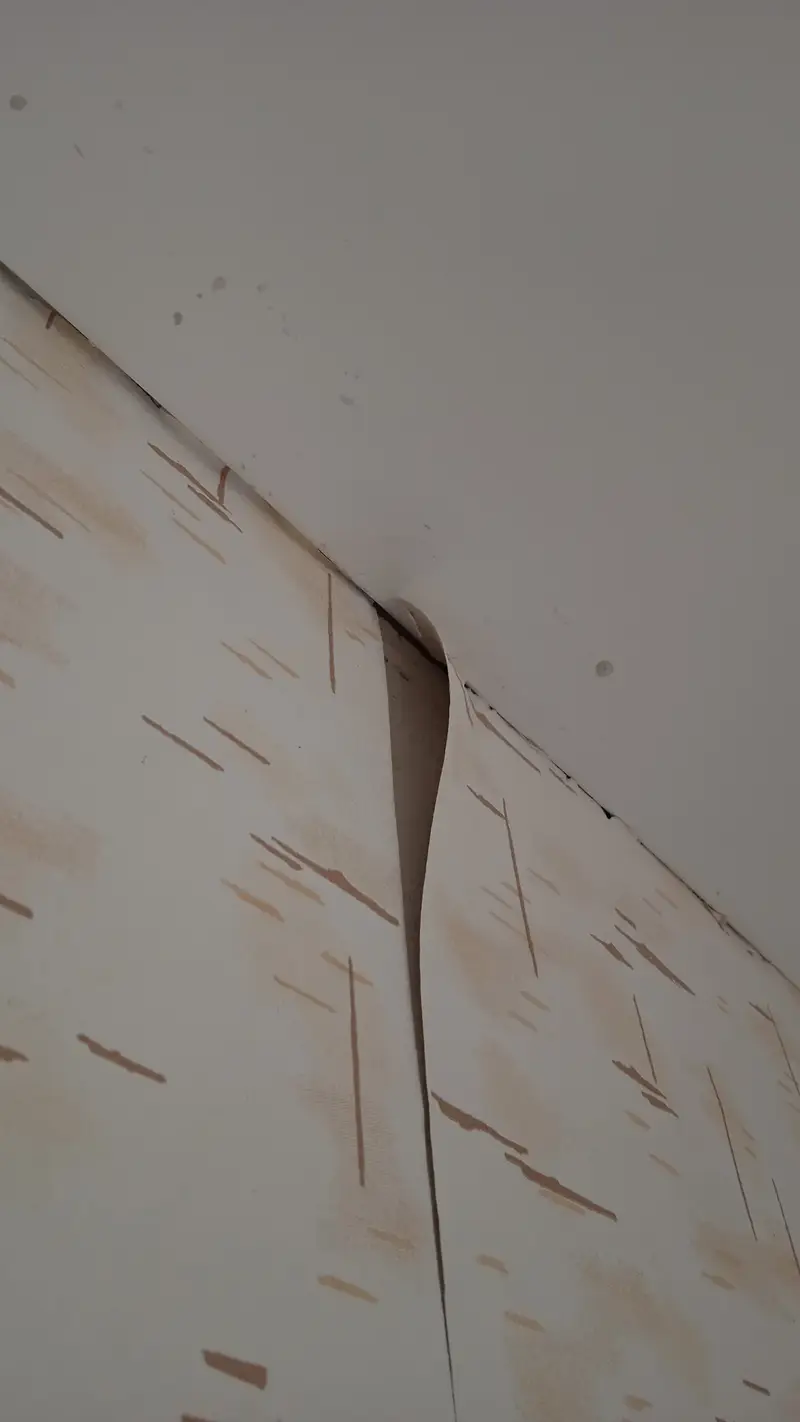 Кейс: производственные дефекты квартиры вследствие нарушений технологии строительства