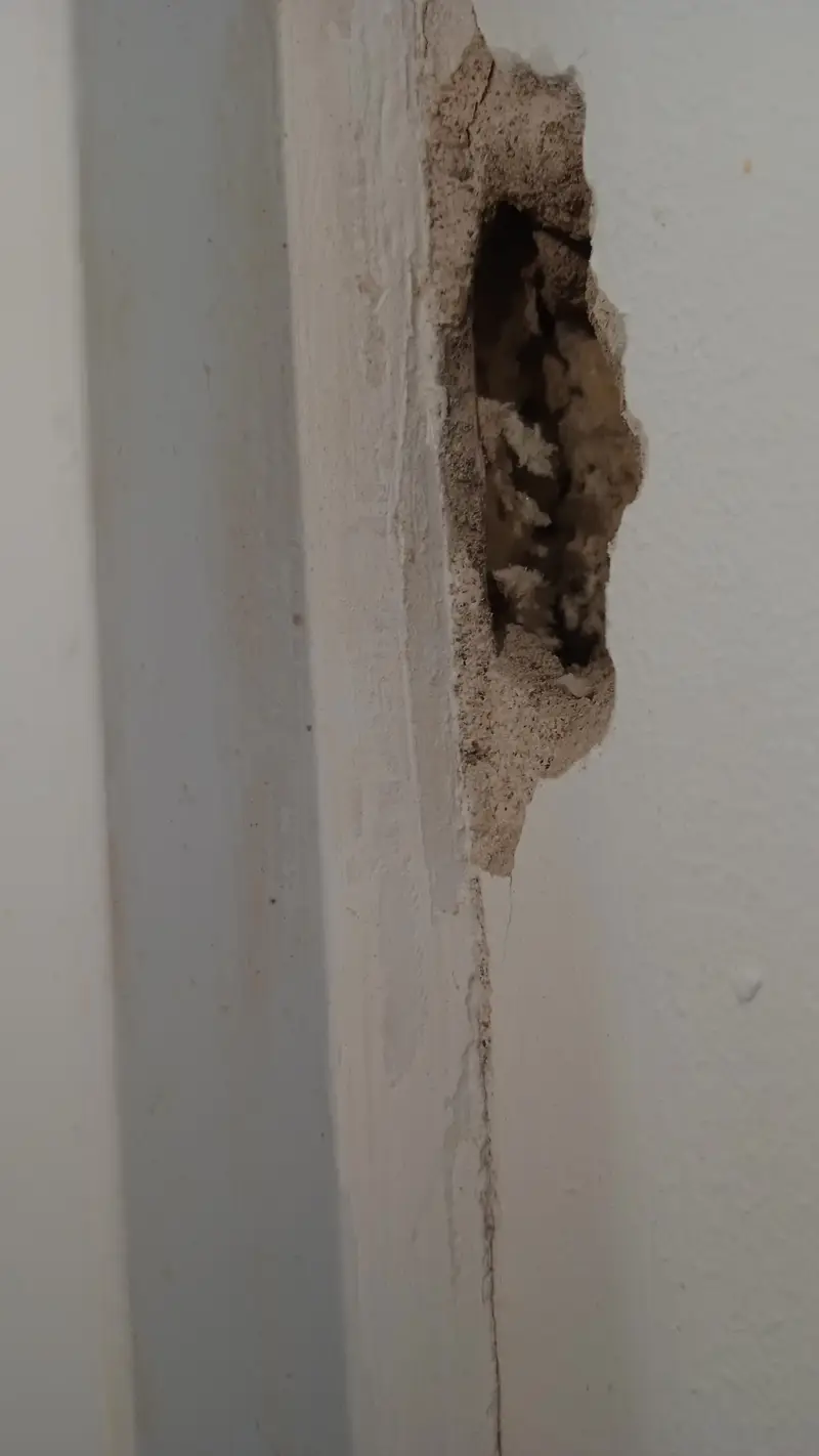 Кейс: производственные дефекты квартиры вследствие нарушений технологии строительства