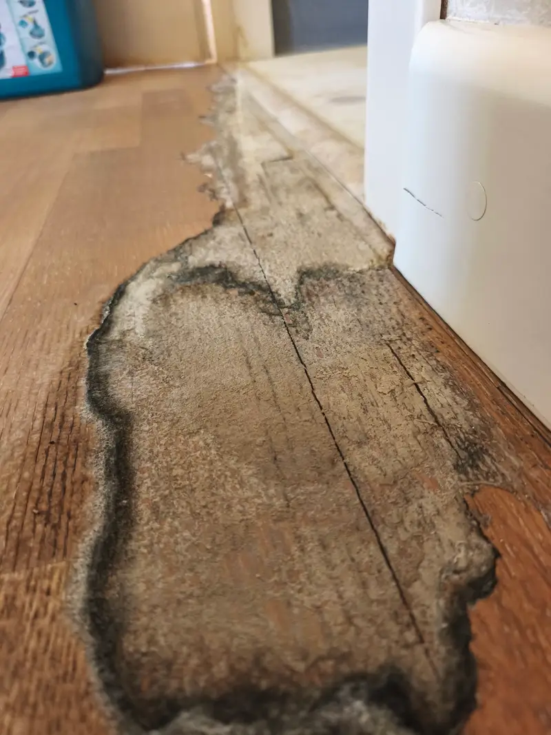 Кейс: оценка ущерба квартире после затопления