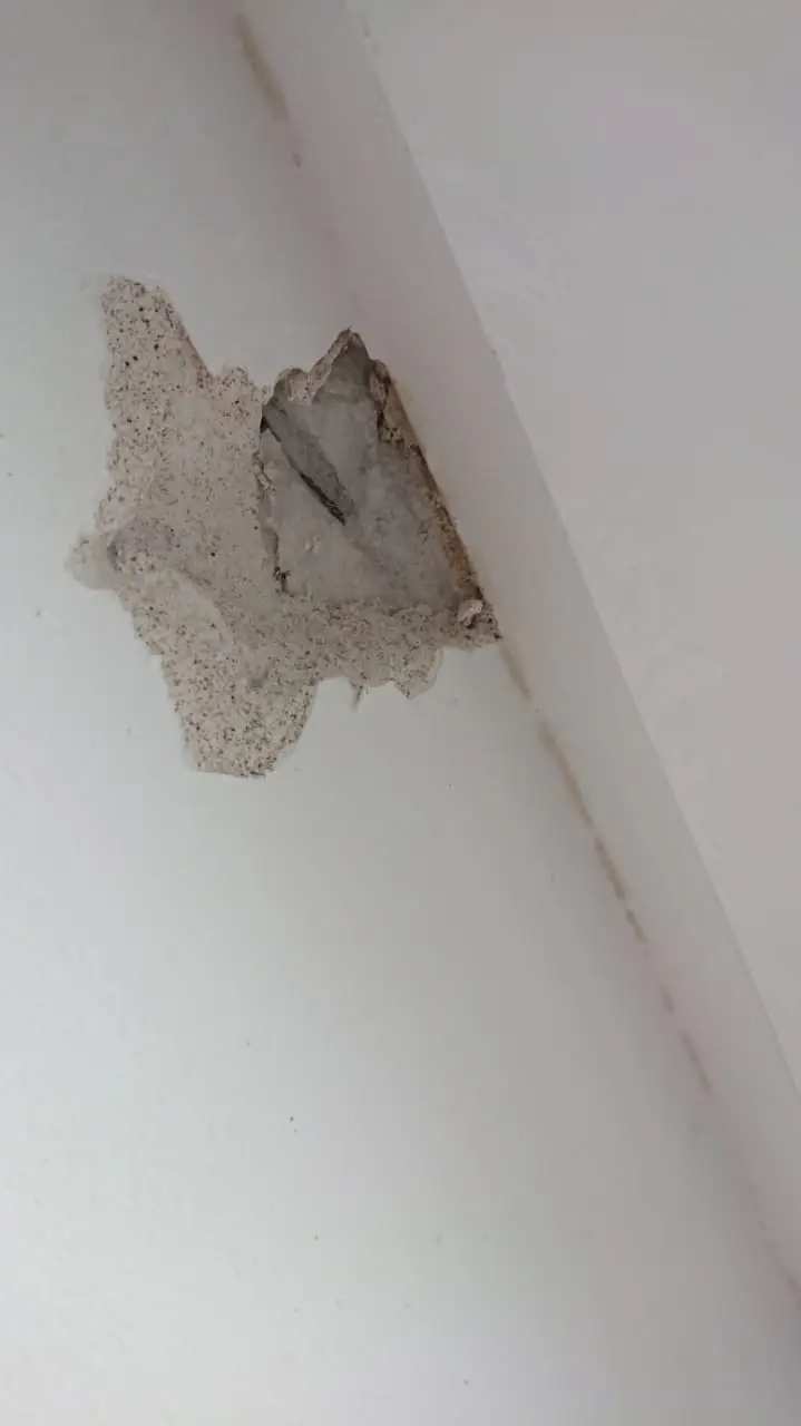 Заключение эксперта по делу о защите прав потребителей и взыскании расходов на устранение строительных недостатков