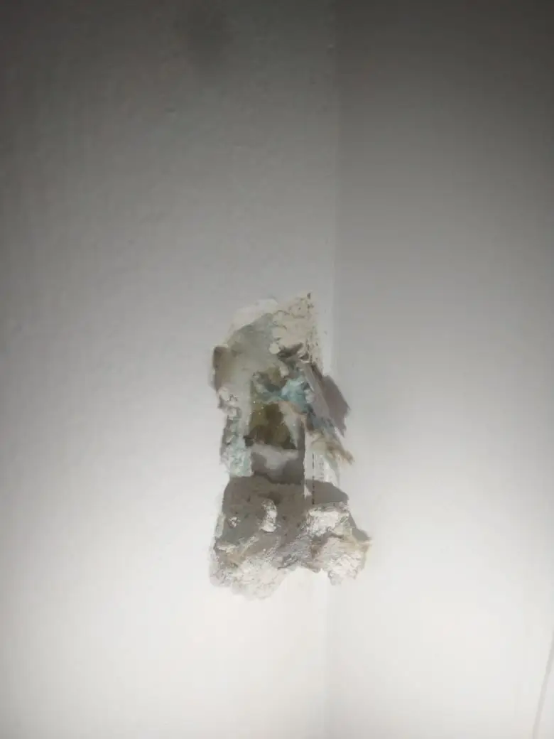 Судебная экспертиза по спору о качестве квартиры: соответствие ДДУ и нарушения строительных норм